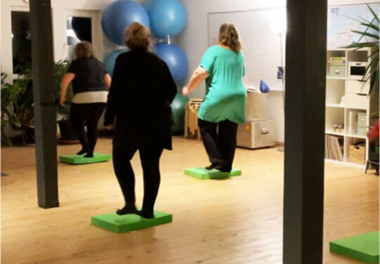 mehrere Damen stehen auf ein Bein um Balance zu trainieren.